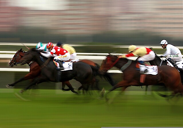 Racehorses speed across the screen